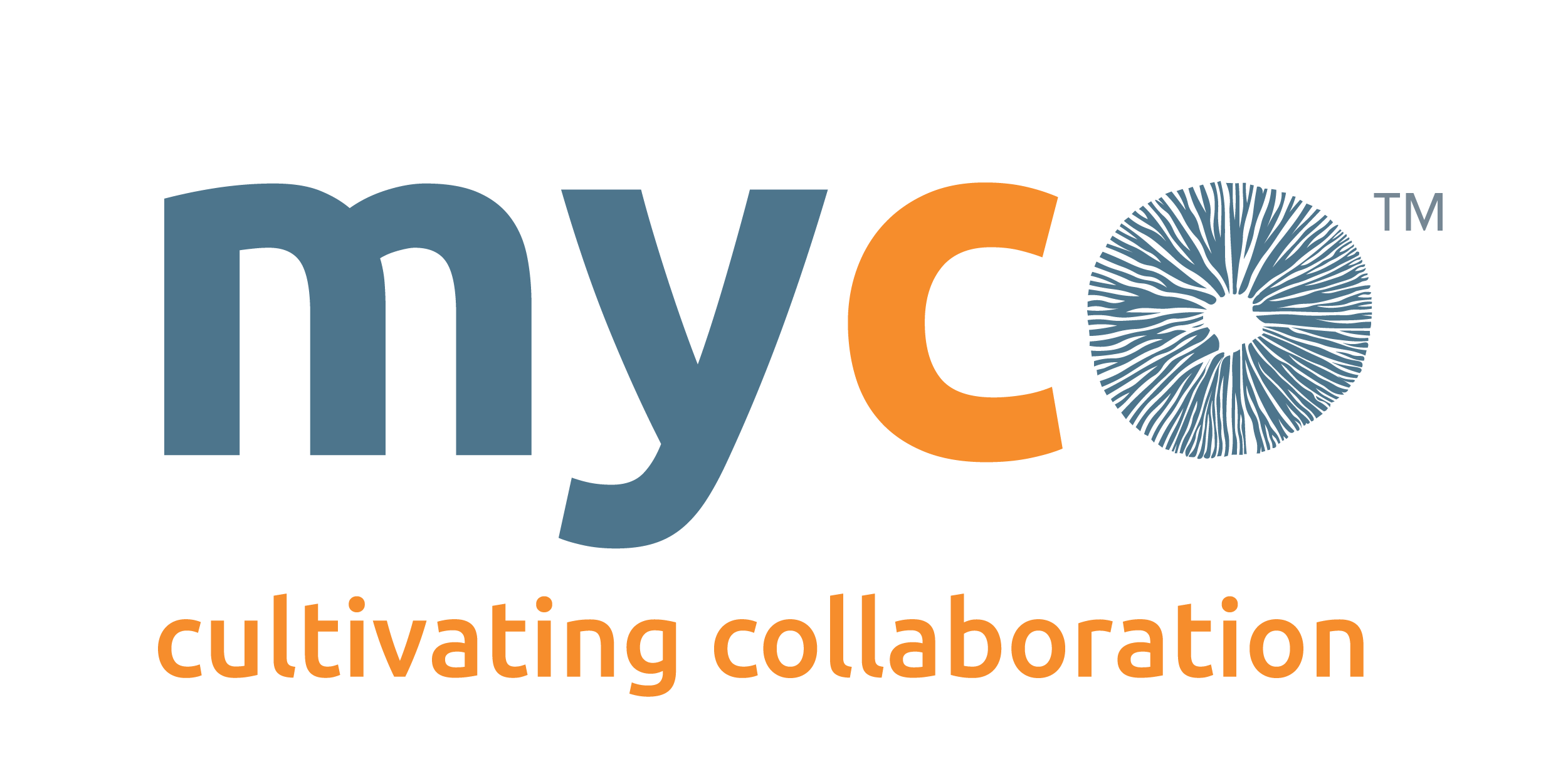 Research-backed foundations, assessments, and interventions to help: Individuals deepen their collaboration know-how, teams discover how to structure collaborative work, organizations establish collaborative culture